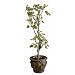 Kenroy Lighting 60059 Short Urn Planter Uncategorized in Garden Bronze With Gold Highlights