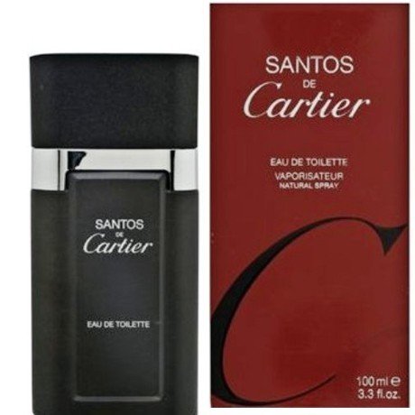 3 x Cartier DE Santos 100 ml EDT for Man Spray NEU & OVP Preisvergleich