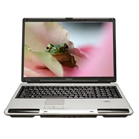 Toshiba Satellite P105-S6147 Laptop