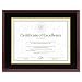 DAX Hardwood Document/Certificate Frame with Mat, 11 x 14 Inches, Mahogany (1511TM)