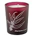 Aromatic Candle Java, Indonesia 180g by Cinq Mondes