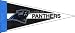 Football Pennants: NFL Mini Carolina Panthers Pennant