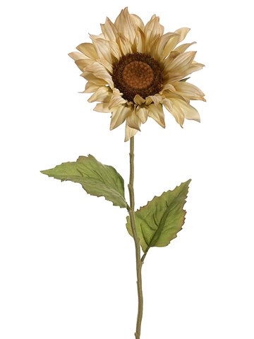 Club Pack of 12 Artificial Beige Sunflower Silk Floral Stems 28