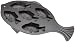 Kitchen & Housewares : Old Mountain Pre Seasoned 10145 5 Impression Fish Cornbread Pan, 16 1/4 Inch x 9 1/2 Inch