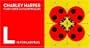 Charley Harper Flash Cards and Floor Puzzles