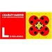 Charley Harper Flash Cards and Floor Puzzles