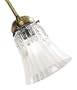 Hunter 28507 2-1/4" Sculpted Frosted/Clear Accessory Glass
