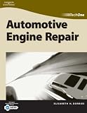 TechOne: Automotive Engine Repair (Techone)