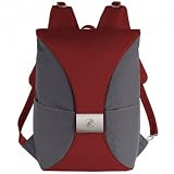 Pacsafe DailySafe B200 Anti-Theft Backpack