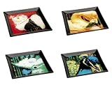 Exotic Bird Glass Snack Plate Set