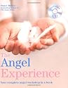 The Angel Experience: Your Complete Angel Workshop in a Book