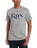 MLB Men's Tampa Bay Rays Official Wordmark Short Sleeve Basic Tee (Steel Heather, Large)