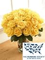 Two Dozen Humane Society of the United States Roses
