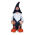 College Team Gnomes 11