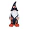 College Team Gnomes 11