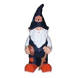 College Team Gnomes 11