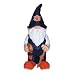 College Team Gnomes 11