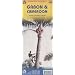 Cameroon/Gabon: ITM.140