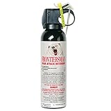 UPC 023063954585 product image for Sabre Frontiersman Bear Attack Deterrent (7.9-Ounce) | upcitemdb.com