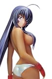 1/8 関羽雲長 Perfect body ver.一騎当千