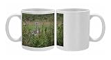 Great Bustard Otis Tarda individual just released on to Salisbury Plain Photo Mugs