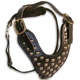 Dean & Tyler's Stud Brother Leather Harness Is A Beautiful Piece For Your Dog - - This Harness Is Size Large (Girth: 22" - 36" Neck: 17" - 27"), Black with Felt Padding on the Inside - You Have to See It to Believe How Beautiful It Looks on Your Dog! - Also Available in Medium And Brown - Contact Us