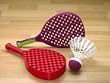Set of 10 - CheckerBat�� Pro ShuttleBall��