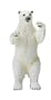 Vanishing Wildlife- Polar Bear Male