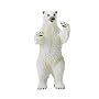 Vanishing Wildlife- Polar Bear Male