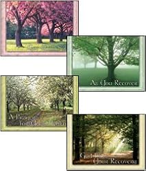 Scripture Greeting Cards-KJV-Boxed-Get Well - "Groves of Compassion"