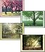 Scripture Greeting Cards-KJV-Boxed-Get Well - "Groves of Compassion"