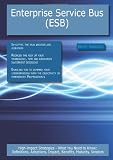 Enterprise Service Bus (ESB)