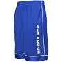 Air Force Falcons Royal Blue Classic Mesh Shorts