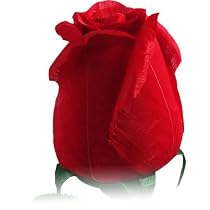RoseFeather Handmade Feather Roses - 12pc Gift Box