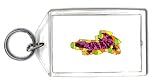 Keychain with reptile, suspectum, heloderma, monster, lizard, gila