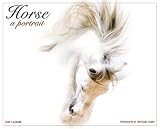 Horse: A Portrait 2009 Calendar