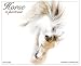 Horse: A Portrait 2009 Calendar