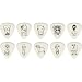 Planet Waves Joe Satriani Signature Guitar Picks 10-Pack, White Heavy