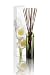 Dayna Decker Botanika Chandel Candle, Manzanita, 16 Ounce