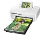 Canon SELPHY CP810 kompakter Fotodrucker (6,8 cm (2,7 Zoll) Display, 300x300dpi)
