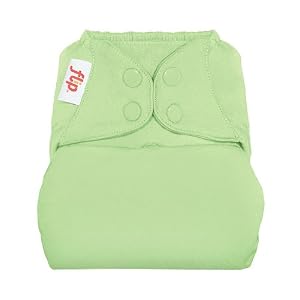bumGenius Flip Cloth Diapering System