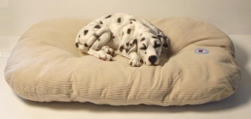 dog or cat bed/cushion L (35'' x 24'') in beige #5014L