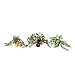 Floral Artificial Potted Mini Ivy Plants in Light Green (Set of 3)