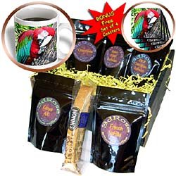 Birds - Greenwing Macaw - Coffee Gift Baskets - Coffee Gift Basket by 3dRose LLC