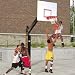 Bison Ultimate  Fixed Height System (EA)