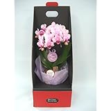 ���i�̏ڍ�