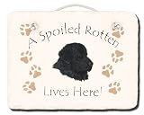 Newfoundland Spoiled Rotten Slate
