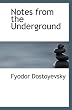 Notes from the Underground (Holt Government 2010)