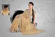 Ansuya Chikoo Georgette Designer Party Wear Sari saree