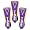 Louisiana State Tigers